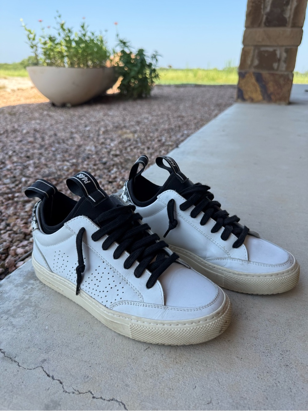 P448 Soho Socks Sneakers